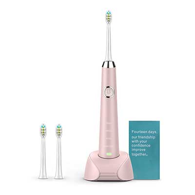 HANASCO Sonic Electric USB Rechargeable Toothbrush with 2 Replacement Heads