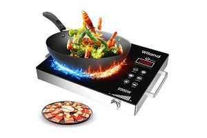 best portable induction cooktops reviews