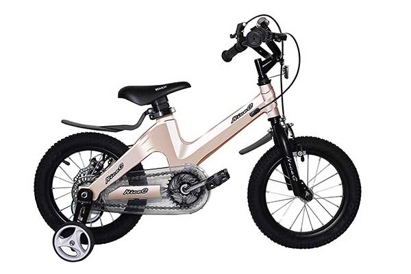 Nice C BMX Kids Bike for Boys and Girls with Dual Disc Brake