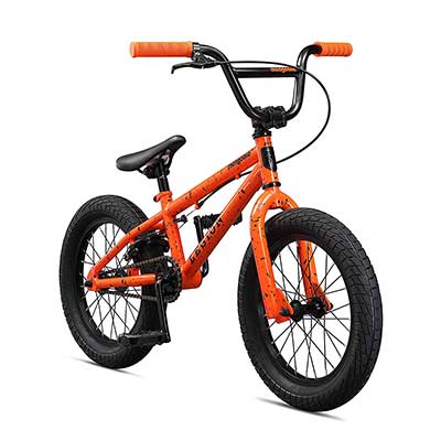 bmx bike for 10 year old