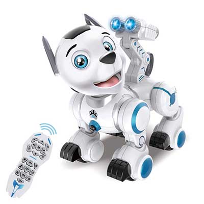 Fisca Remote Control Robotic Dog RC Interactive Intelligent Robot