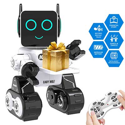 Remote Interactive Control Robots Toy