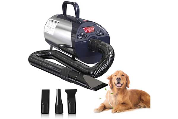 Top 20 Best Professional Dog Dryers